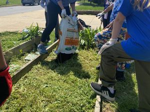 Home Depot Soil